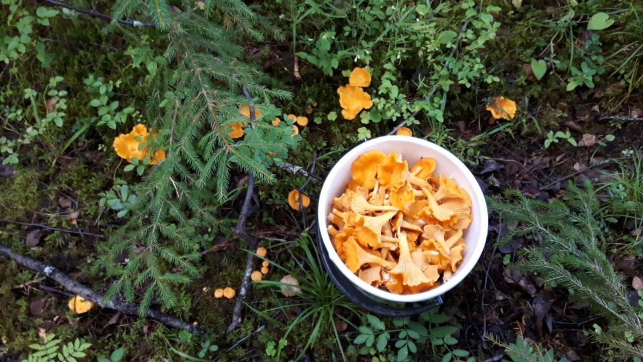Villa Suvituuli | Paajoen Vuokramoekit à Himos Extérieur photo