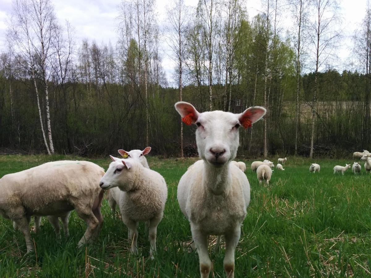 Villa Suvituuli | Paajoen Vuokramoekit à Himos Extérieur photo